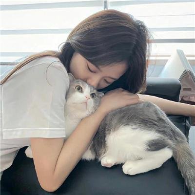 狄公灭鼠 海报